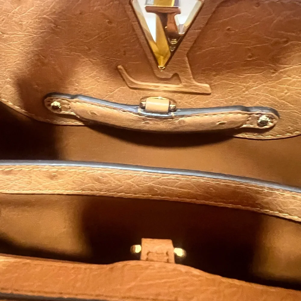 Louis Vuitton Capucine small Exotic ostrich bag NWT pristine - Picture 11 of 13